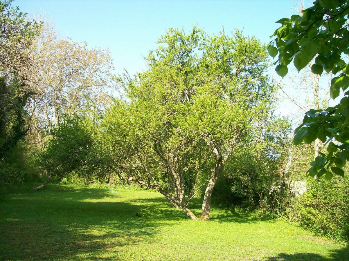 Chez Scallan B&B Sens sur Seille Luaran gambar